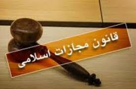 تحلیلی بر ماده 301 قانون مجازات اسلامی